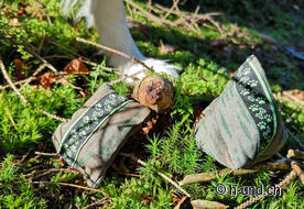 Ben mimetizzati, i goblin rendono difficile la ricerca.