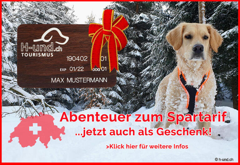 Klicke hier für weitere Infos