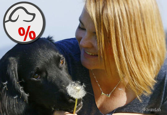 Le monde des chiens Penasa